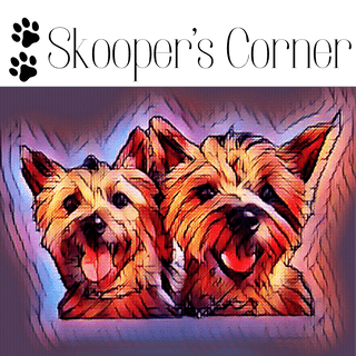 Skooper's Corner - Soho Chic Shoppe