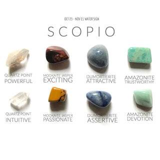 Scorpio Zodiac Crystal Collection - Soho Chic Shoppe