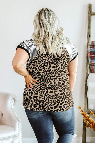Leopard Striped Tee - Plus Size - Soho Chic Shoppe